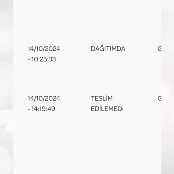 PTT Kargo'nun Yanıltıcı Teslimat İddiaları Ve Müşteri Hizmetleri Sorunu