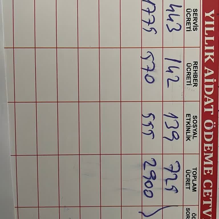 Zorunlu Gezi Ücreti Haksızlığı