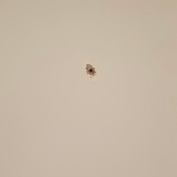 Davlumbaz Montajında Salon Duvarı Hasarı