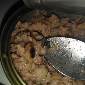 Üründe Beklenmedik Ve Sağlıksız İçerik