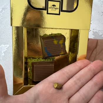 Dubai Çikolatasında Odun Parçası Ve Katı Form Hayal Kırıklığı