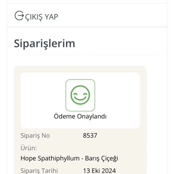 Sipariş Teslimatı Ve İletişim Sorunları