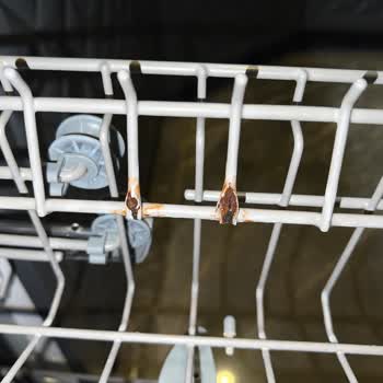 Paslanan Bulaşık Makinesi Sepetleri Sağlığımızı Tehdit Ediyor