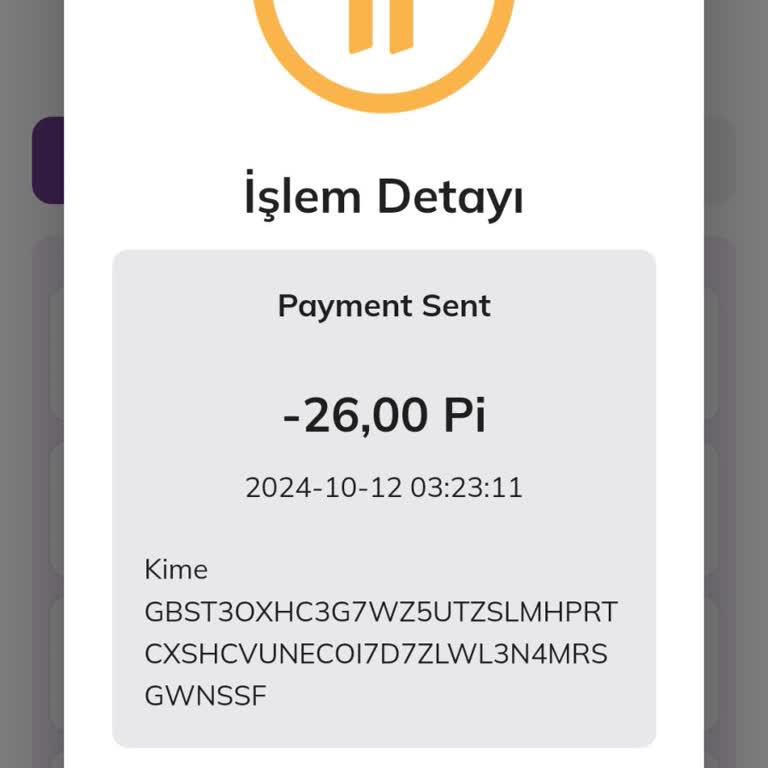 Pi Network'te Kayıp Ve Güvenlik Sorunu!