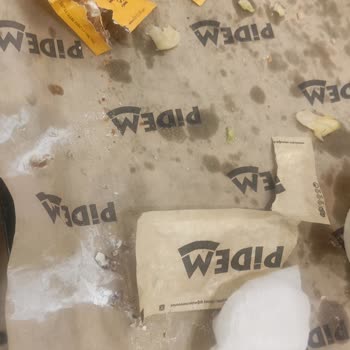 Restoranda Böcek Şoku: Müşteri Memnuniyetsizliği