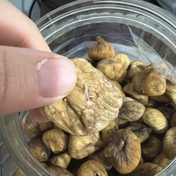 Ulaşılmaz Kooperatif Ve Kurtlu İncir Sorunu