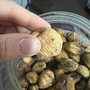 Ulaşılmaz Kooperatif Ve Kurtlu İncir Sorunu