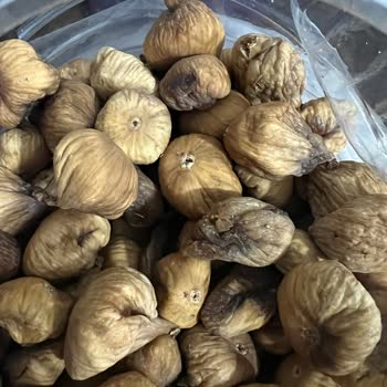 Ulaşılmaz Kooperatif Ve Kurtlu İncir Sorunu