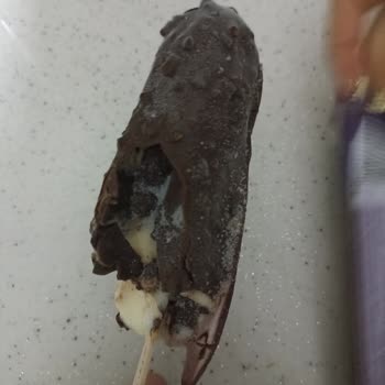 Magnum'un Bozulmuş Dondurma Skandalı