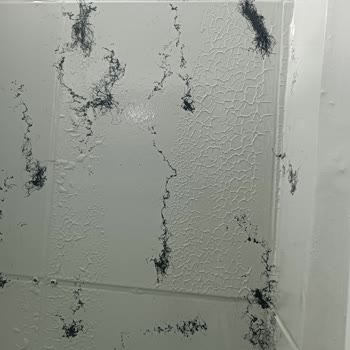 Filli Boya Ürünleriyle Fayanslarda Kabarma Sorunu