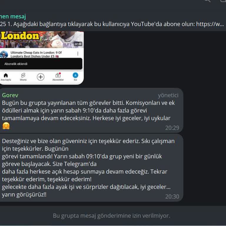 Yanıltıcı Telegram İş İlanı Ve Güvenlik Endişesi