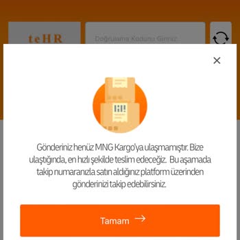 Kargo Krizi: English Home Ve MNG Kargo Arasında Kalan Müşteri