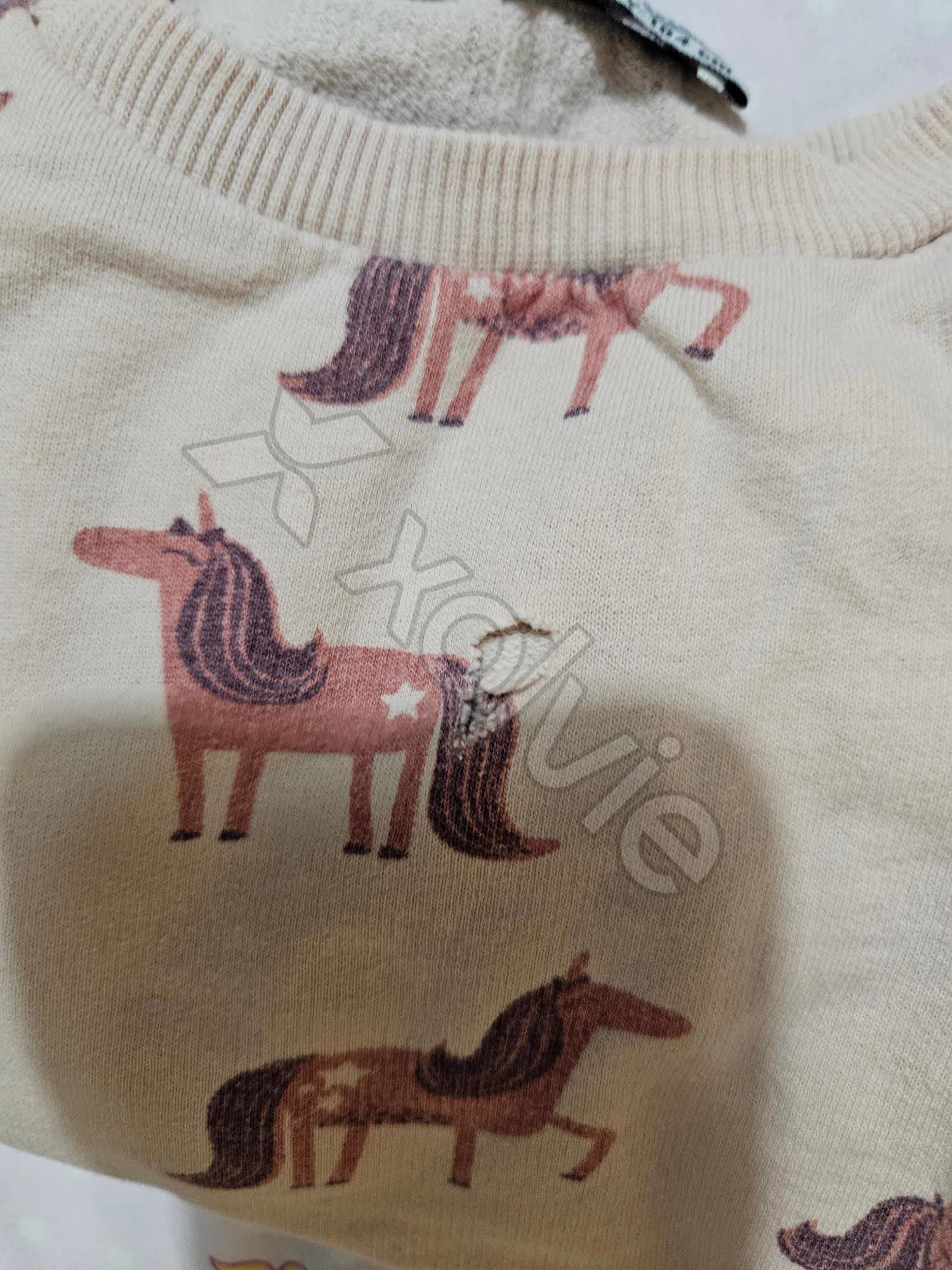 Siemens Washing Machine Tears My Clothes Every Time I Use It and I'm