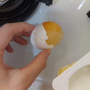 Buzdolabı Sorunları Ve Yetersiz Servis Desteği