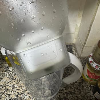 Brita Marella XL Sürahinin Yosun Sorunu