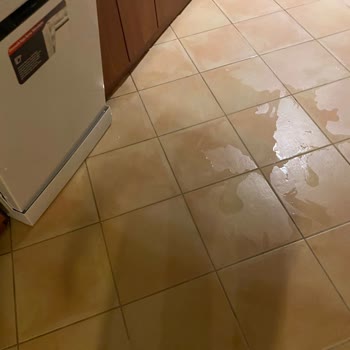 Arçelik Bulaşık Makinesi İle Yaşadığım Hayal Kırıklığı