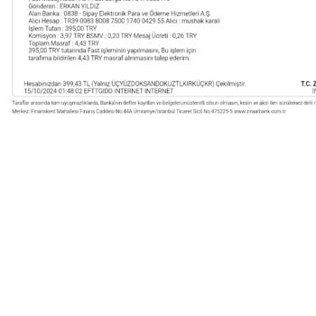 Para Yatırma Sorunu Ve Müşteri Mağduriyeti