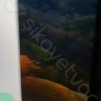 Apple Macbook Pro Ekran