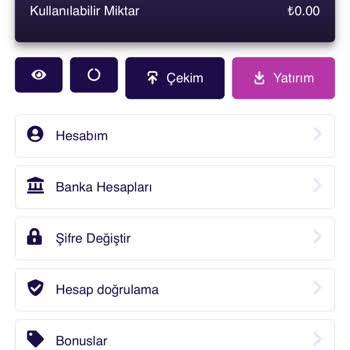 Yatırımım Hesabıma Geçmedi Ve Yardım Alamıyorum