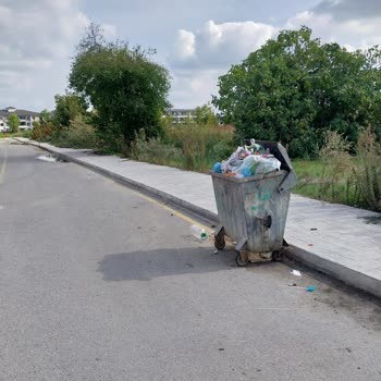 Çöp Konteyneri Eksikliği: Mahalle Sakinlerinin Çözüm Bekleyişi