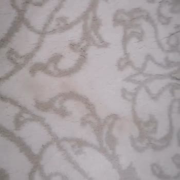 Halı Temizliği Fiyaskosu: Lekeler Daha Da Arttı