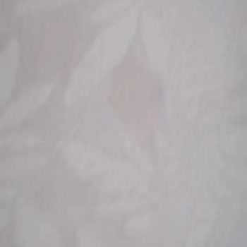 Halı Temizliği Fiyaskosu: Lekeler Daha Da Arttı