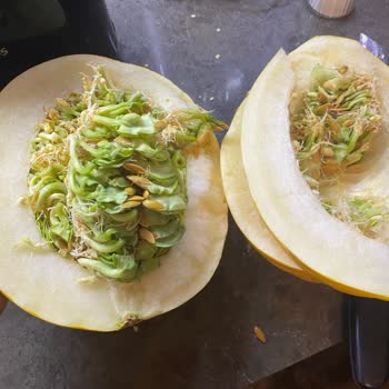 Tazedirek'te Hayal Kırıklığı: Sağlıklı Ürün Vaadi Boşa Çıktı