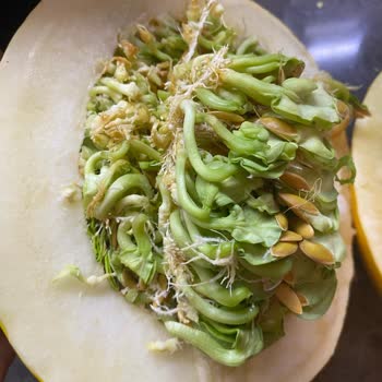 Tazedirek'te Hayal Kırıklığı: Sağlıklı Ürün Vaadi Boşa Çıktı