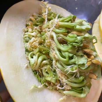 Tazedirek'te Hayal Kırıklığı: Sağlıklı Ürün Vaadi Boşa Çıktı