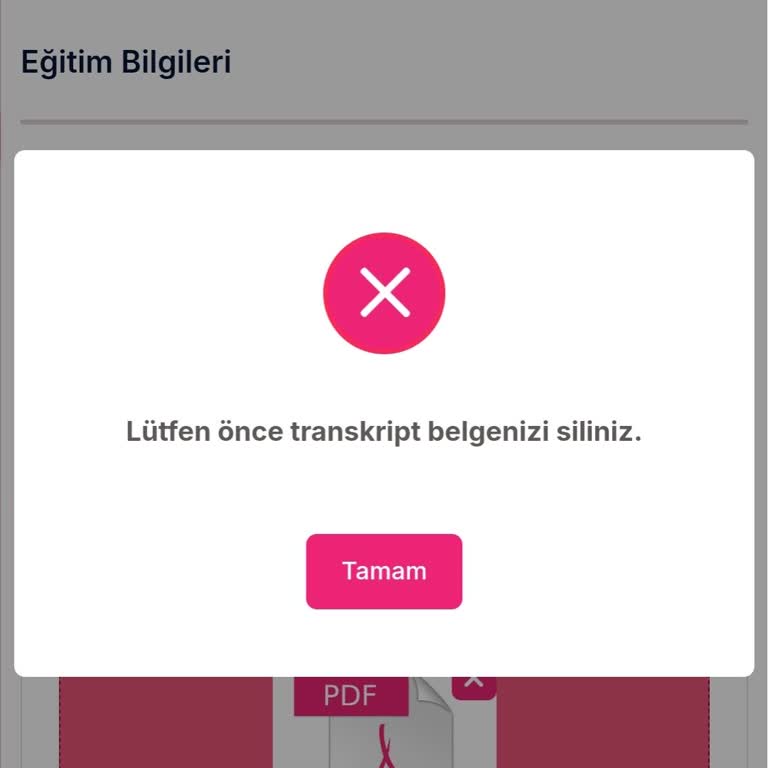 E-Devlet Üzerinden İndirilen Belge Onaylanmıyor Ve Silme Sorunu