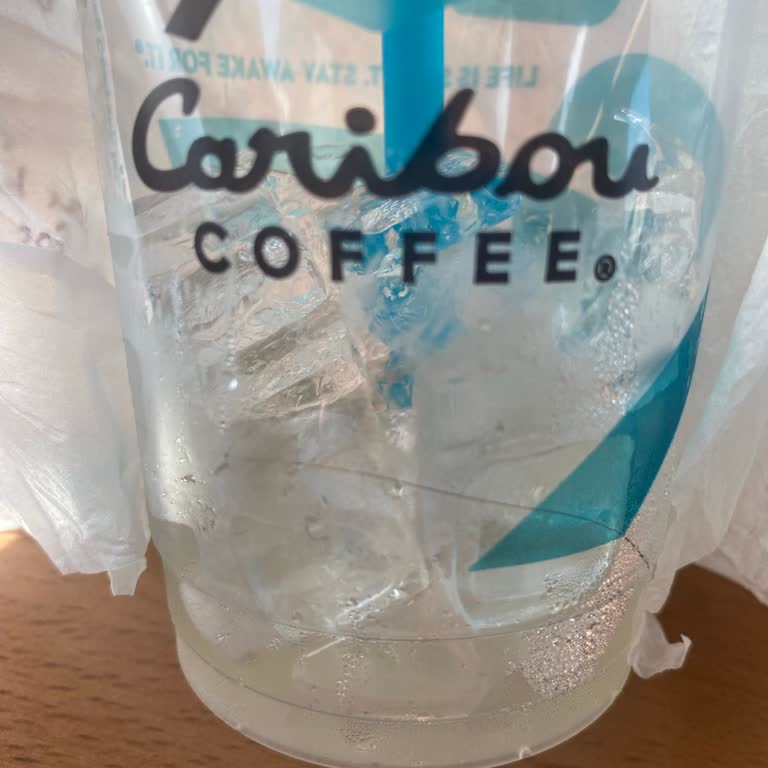 Found Hair in My Mango Lemonade from Caribou Coffee After Drinking It