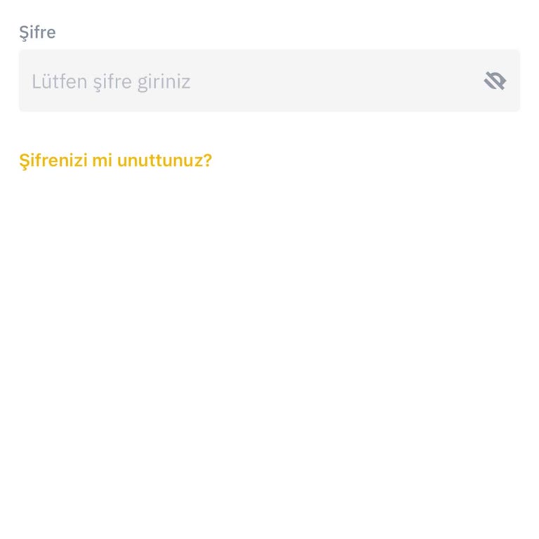 Binance TR Hesabına Giriş Sorunu