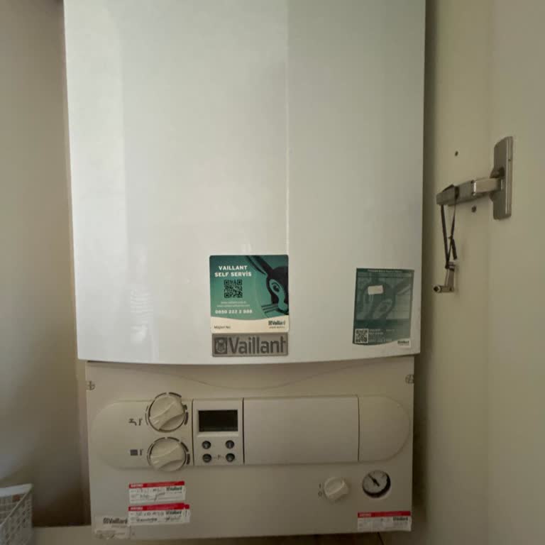 Vaillant Servisi Randevu Sorunu Ve Maddi Zarar