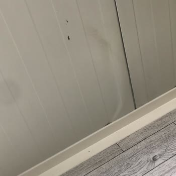 Gürçelik Prefabrik Yanıltıcı Ürün Ve Yetersiz Müşteri Hizmeti