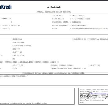 Ödenmiş Faturanın Tekrar Çekilmesi Ve Geri Dönüş Eksikliği