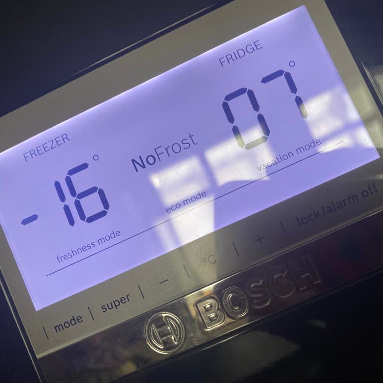 Bosch Buzdolabı Ve Saygısız Servis Deneyimi
