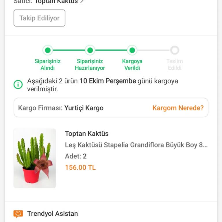 Trendyol Çiçek Siparişim Neden Hala Gelmedi?