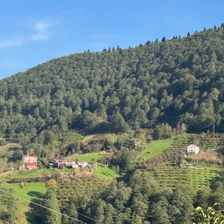Geyikli Mahallesi'nde Su Kesintisi Mağduriyeti
