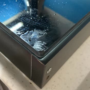 Alveus Servis Süreci Ve Ürün Sorunları