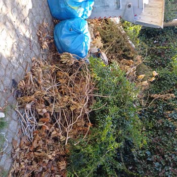 Edremit Belediyesi'nin Çöp Toplama Sorunu