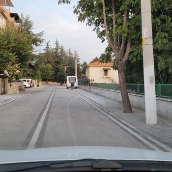 Yeşil Sokak'ta Haksız Ağaç Kesimi Ve Cevapsız Talepler