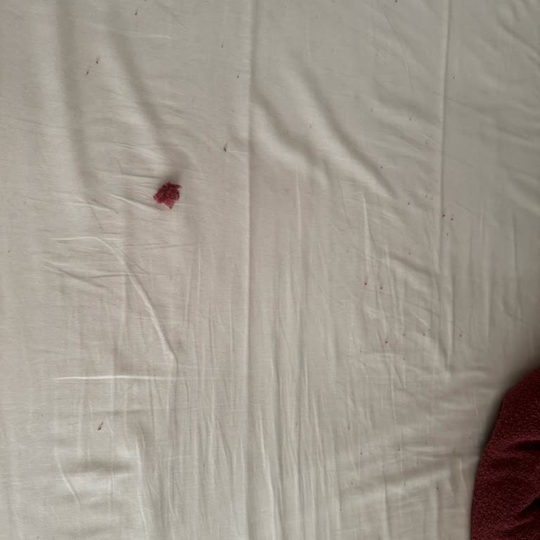 Nevresim Takımında Sürekli Dökülen Pamuk Sorunu