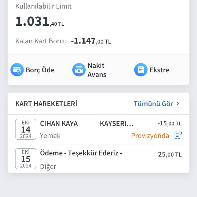 Halkbank Mobil Uygulamasında Kredi Kartı Borcu Ödeme Sorunu