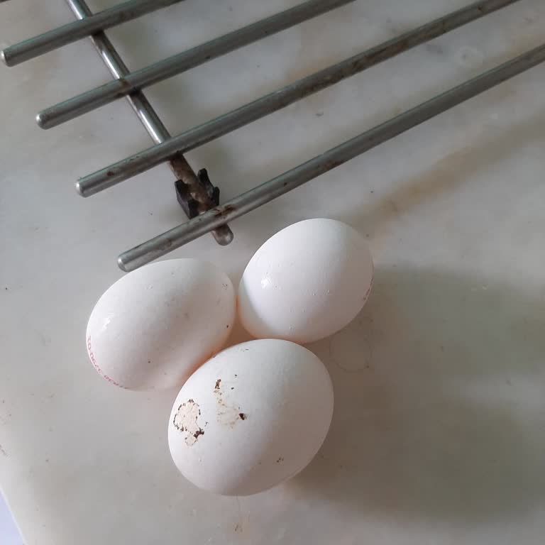 Anamas Toptan Yumurta Paket Üzerinde Yazan Gr. İle İçerik Tutmuyor!