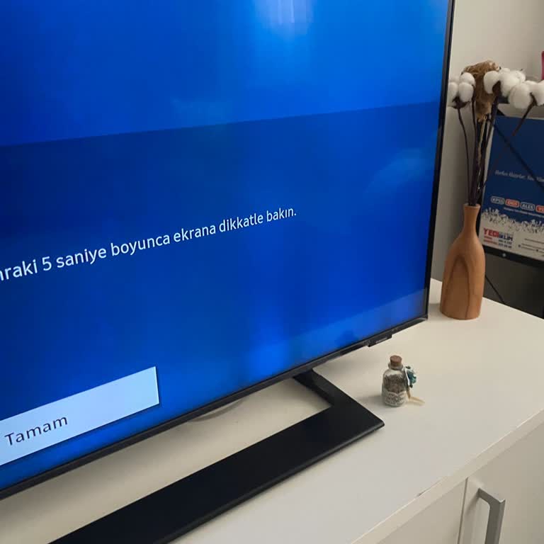 Samsung Televizyonun LED Sorunu: Kalitesizlik Mi?