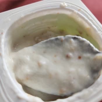 Son Kullanma Tarihi Geçmemiş Çürük Yoğurtlar