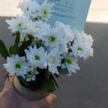 Beklentileri Karşılamayan Çiçek Teslimatı