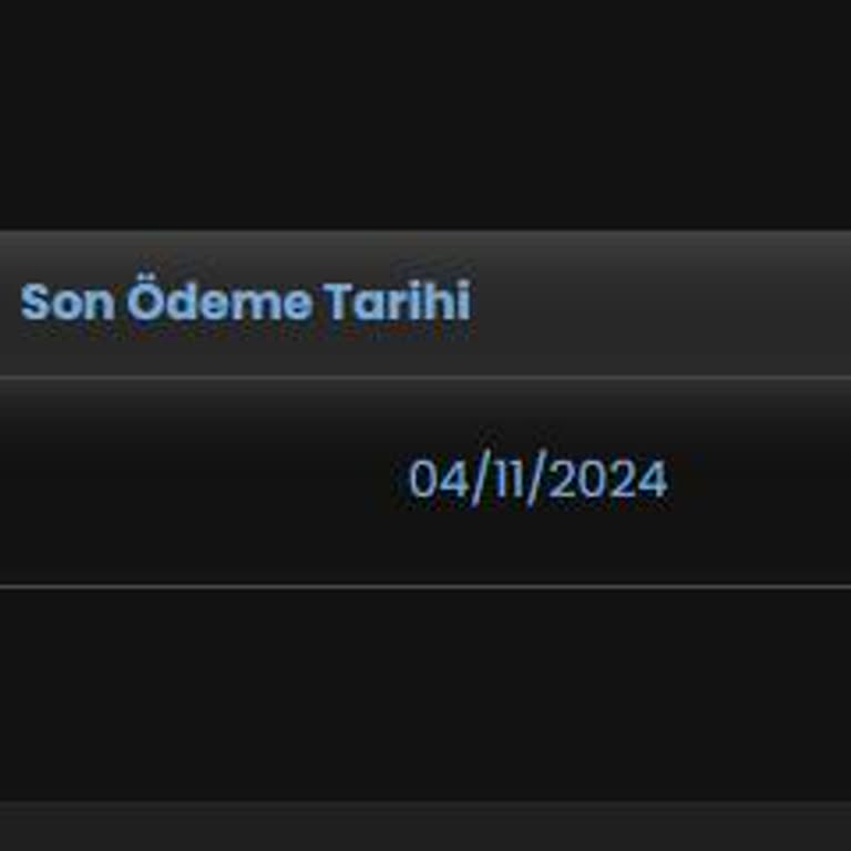 Webriva İle VDS Hizmetinde Karşılaşılan Sorunlar