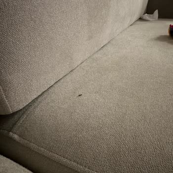 Doğtaş Koltuklarımın Teslimat Ve Kalite Sorunları