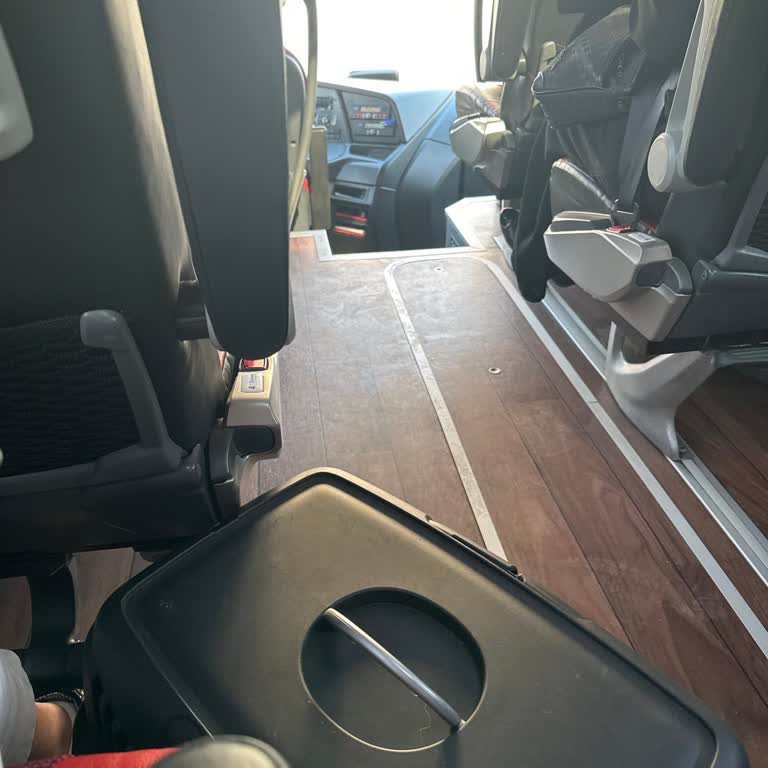 Köpeğimle Seyahat Kabusu: Kamil Koç'un Hayvanseverlik Eksikliği